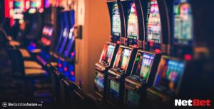 harleypg - Login Bet Rápido